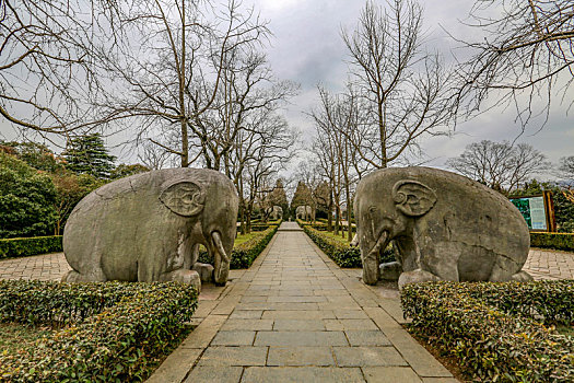 QJ9128179385[1].jpg